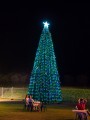 0103-2113 Hunter Valley Gardens Night (1070335)